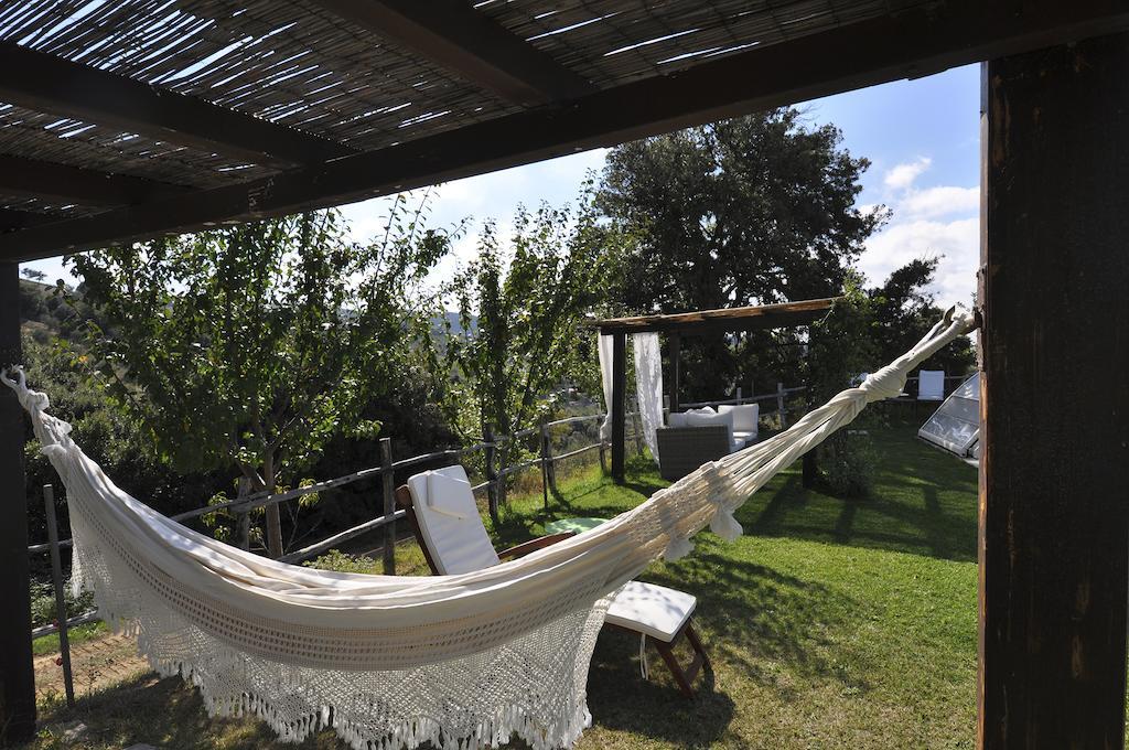 Il Troscione Villa Scansano Exterior foto