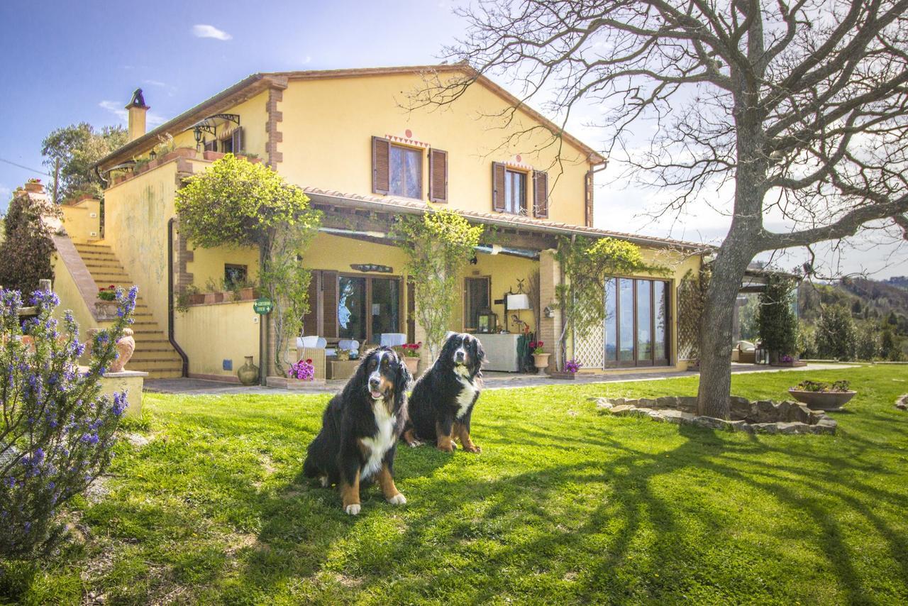 Il Troscione Villa Scansano Exterior foto