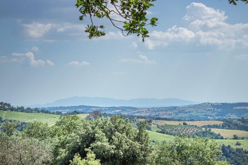 Il Troscione Villa Scansano Exterior foto